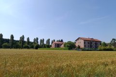foto del campo di grano con la cascina restaurata in primo piano