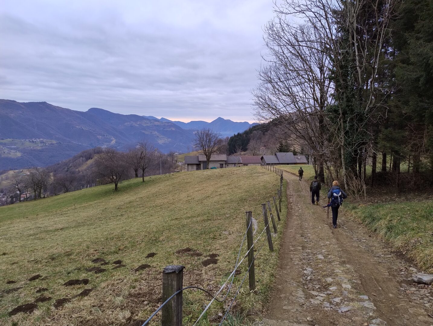 Currino Alto